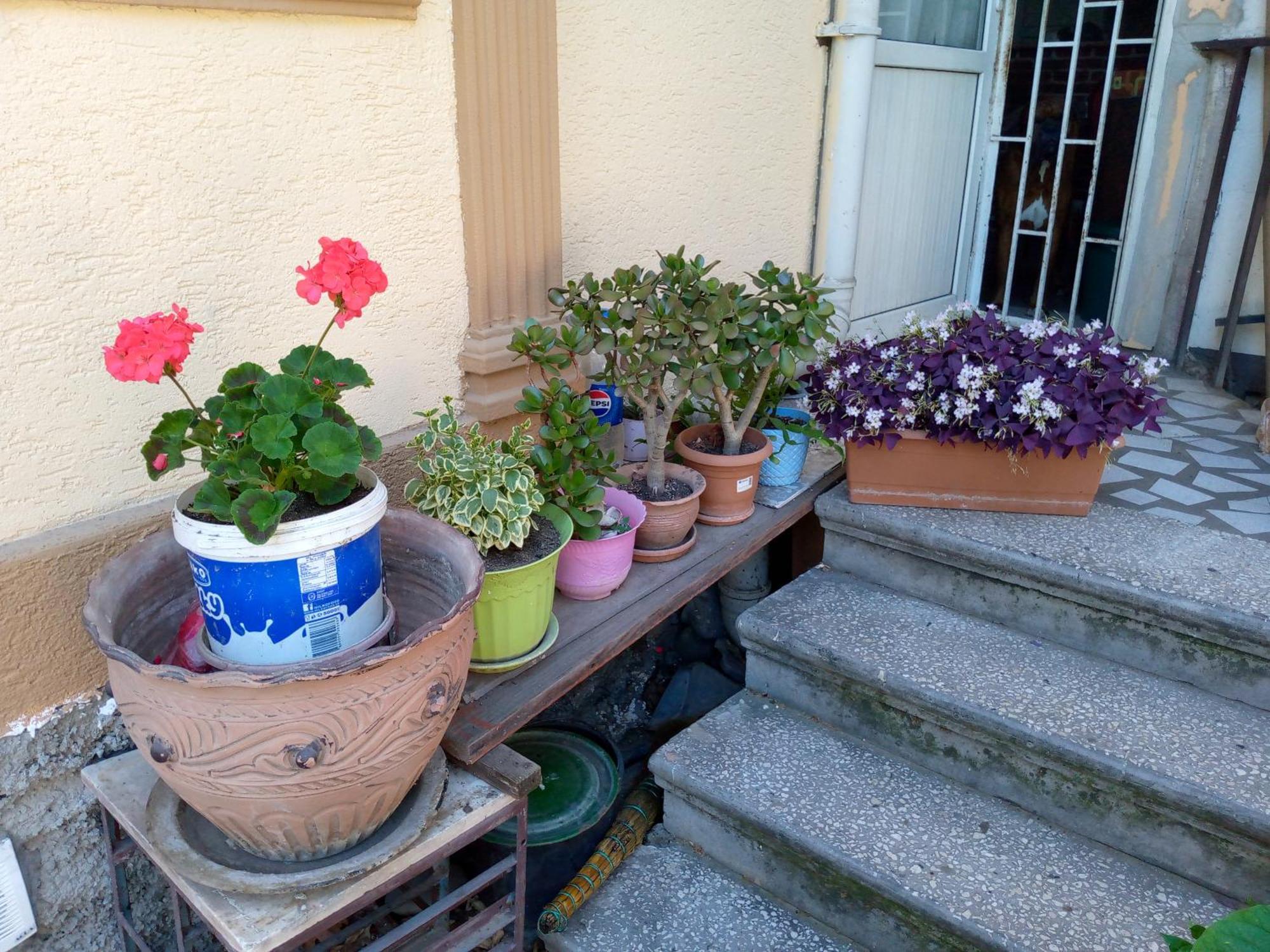 Appartement Once Upon In Old Tbilissi Extérieur photo
